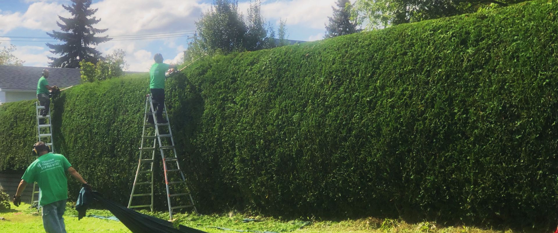 taille de haie de cèdres Laval